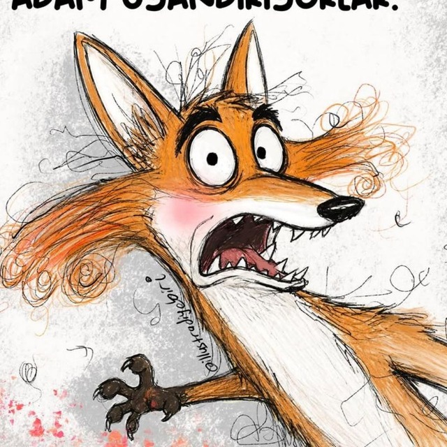 Funny Pics