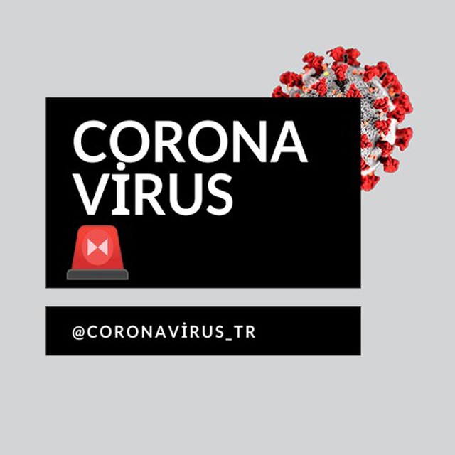 Corona Virus 🚨