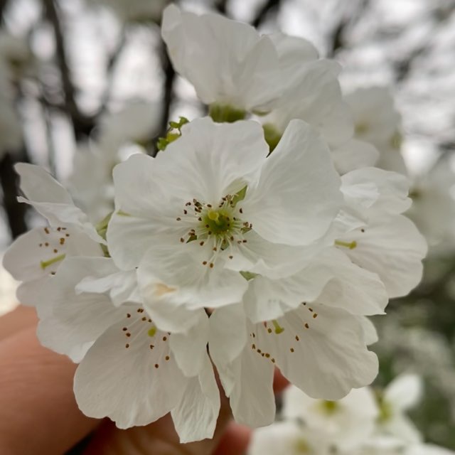 🌳🌿DOĞA İLE İÇ İÇE🌳🌴