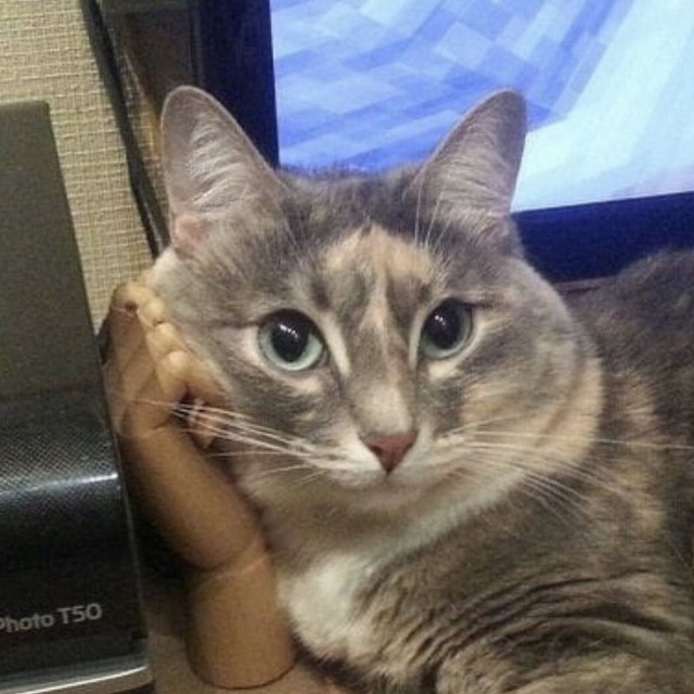 Düşündüren Fotolar