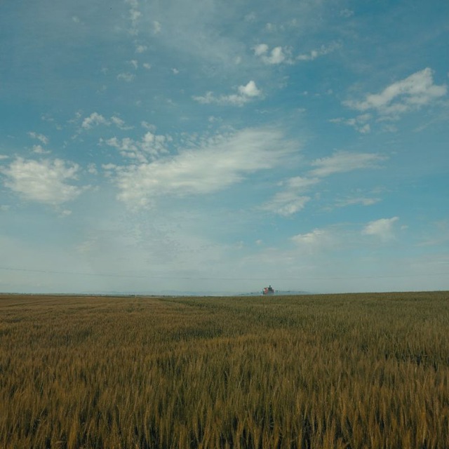 Türkiye'den Kareler ️