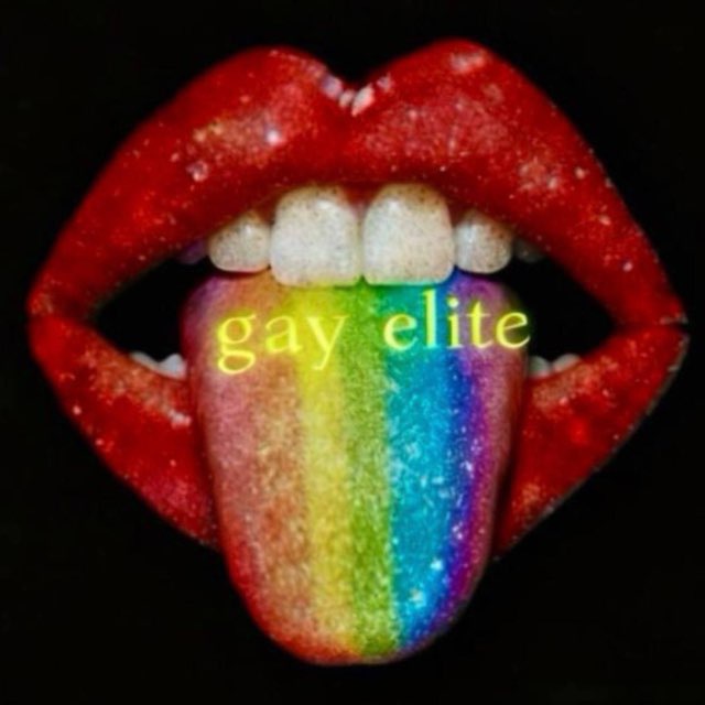 GAY ELITTE ARAYIŞ